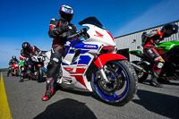 anglesey-no-limits-trackday;anglesey-photographs;anglesey-trackday-photographs;enduro-digital-images;event-digital-images;eventdigitalimages;no-limits-trackdays;peter-wileman-photography;racing-digital-images;trac-mon;trackday-digital-images;trackday-photos;ty-croes